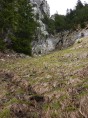 p1010116.jpg