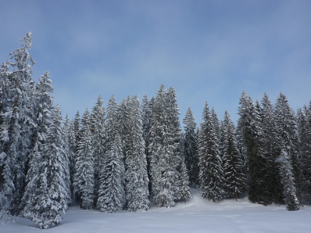 p1000581.jpg
