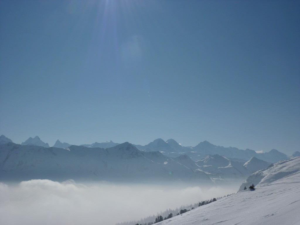 p1000591.jpg