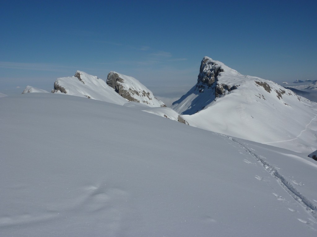 p1000596.jpg