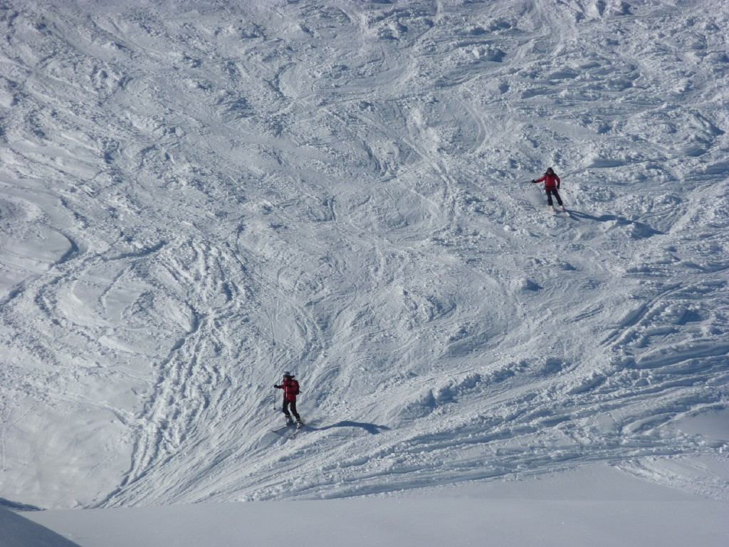 p1000626.jpg
