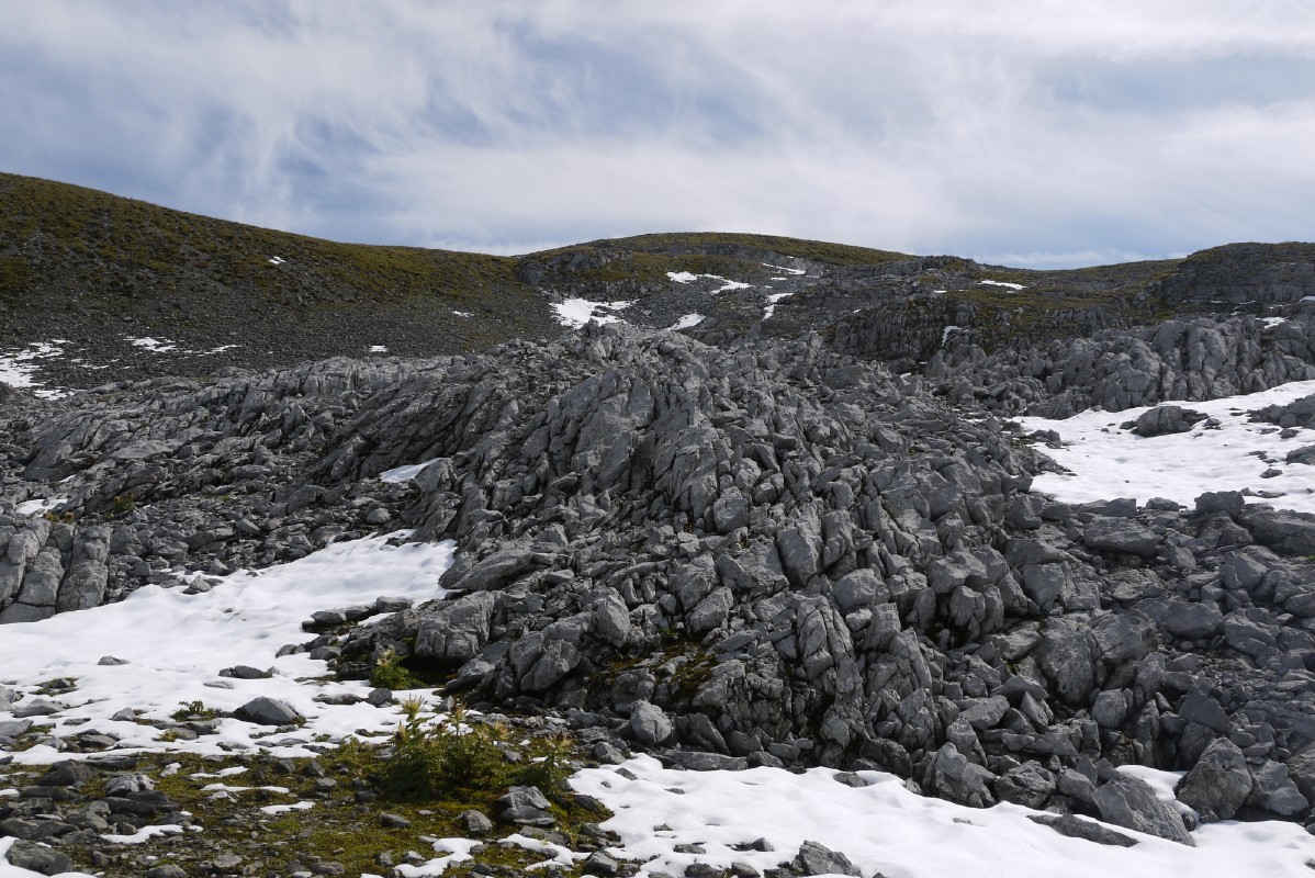 p1010316.jpg
