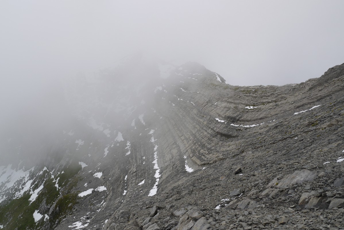 p1010342.jpg
