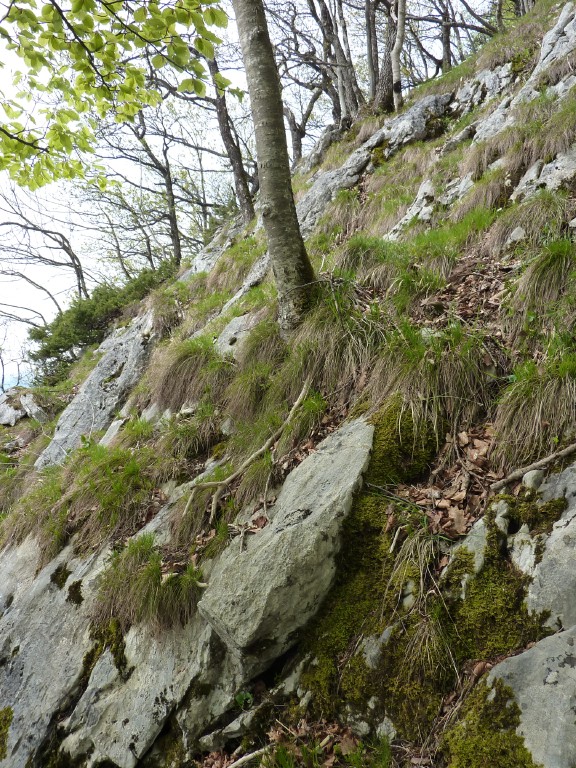 p1010090.jpg