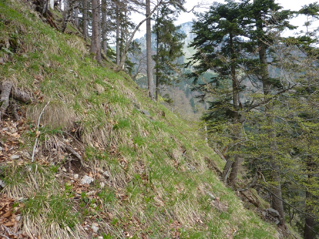 p1010091.jpg