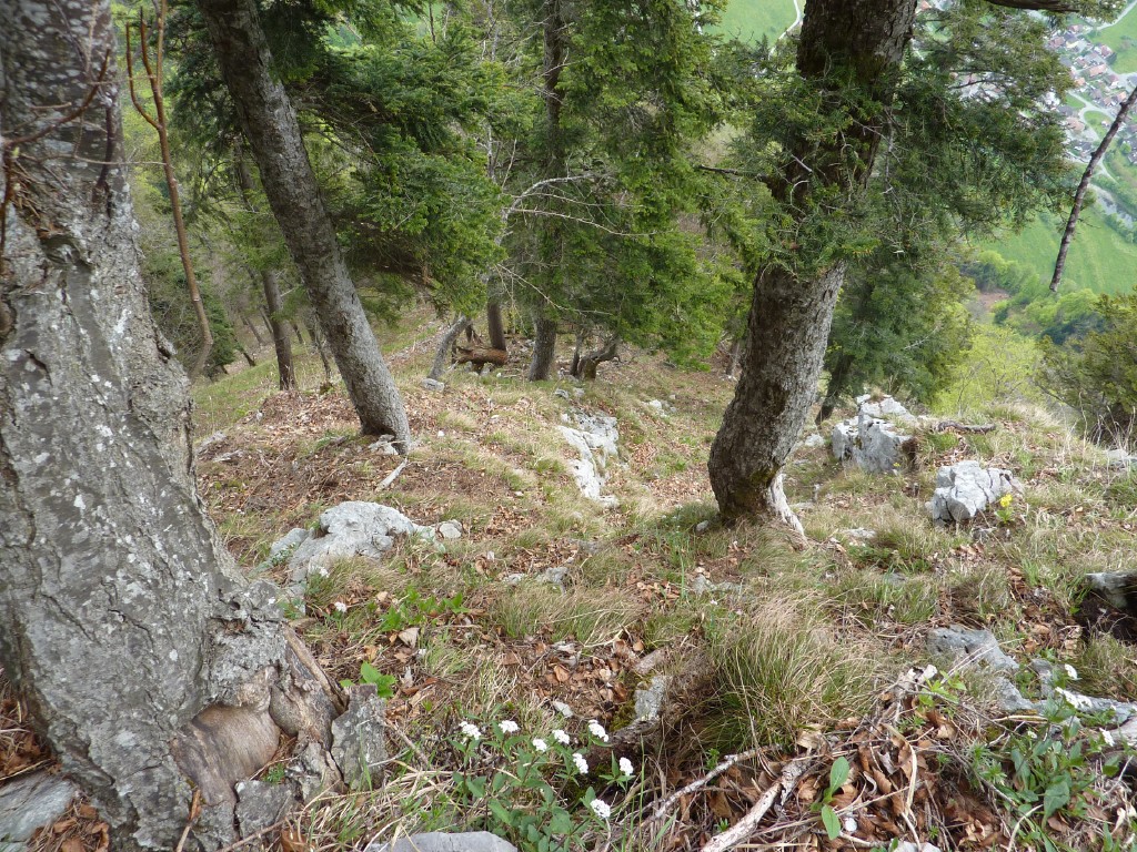 p1010093.jpg