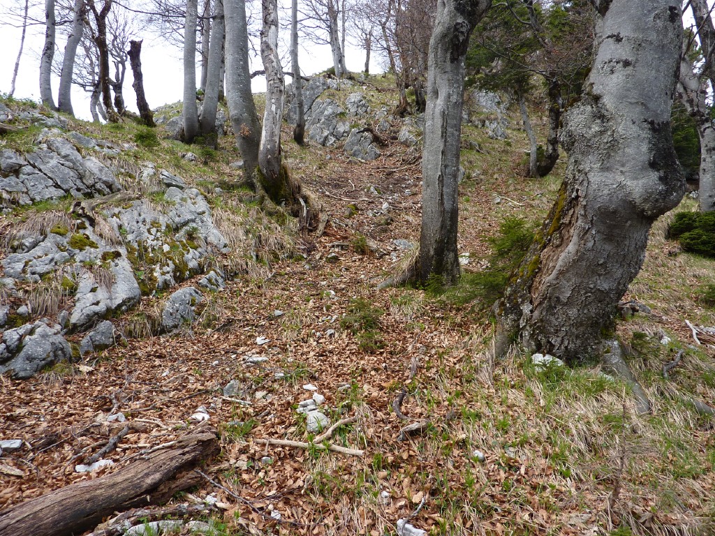 p1010097.jpg