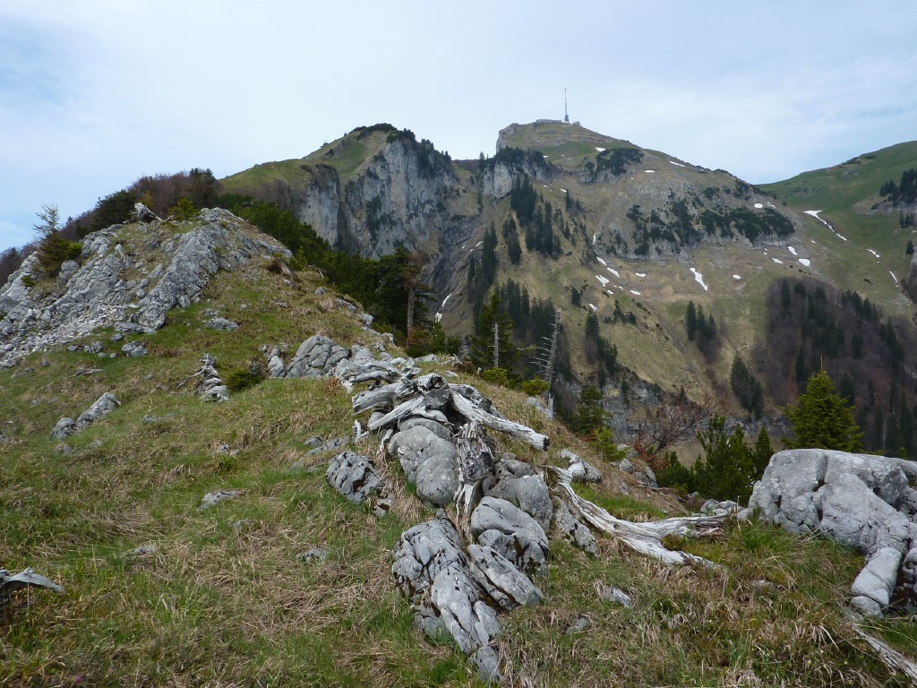 p1010100.jpg
