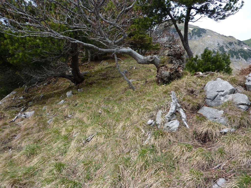 p1010101.jpg