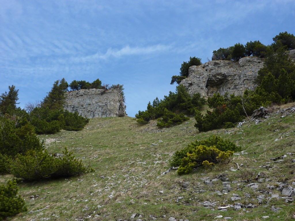 p1010103.jpg