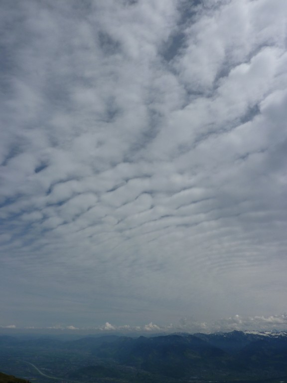 p1010109.jpg