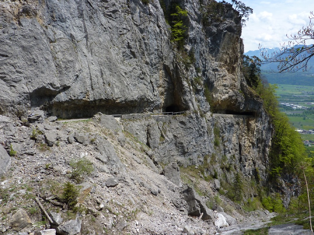 p1010113.jpg