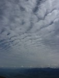 p1010109.jpg