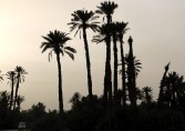 Touren in Marokko