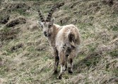 Rund um den Pilatus