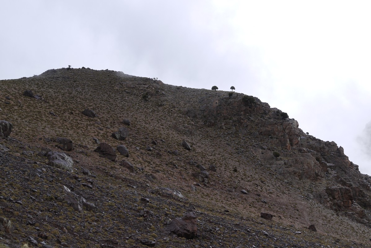 p1000332.jpg