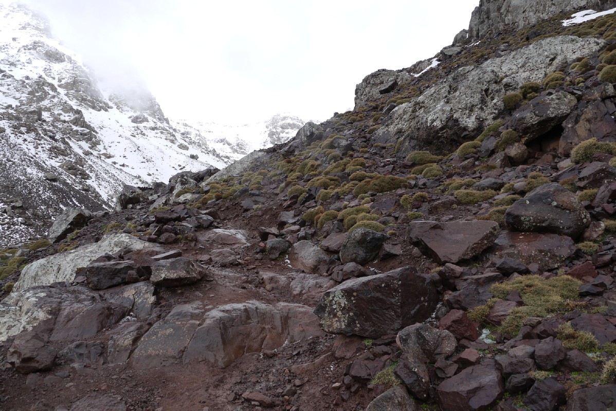 p1000334.jpg