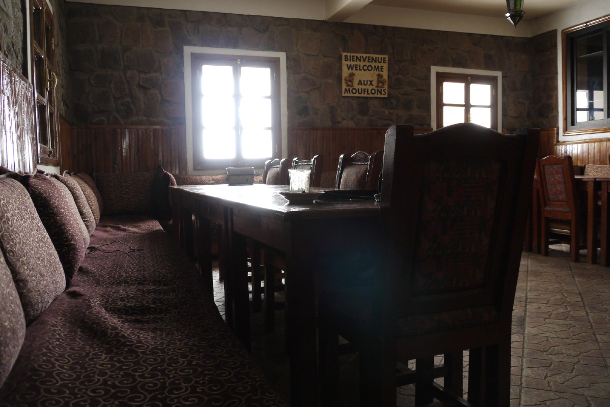 p1000342.jpg