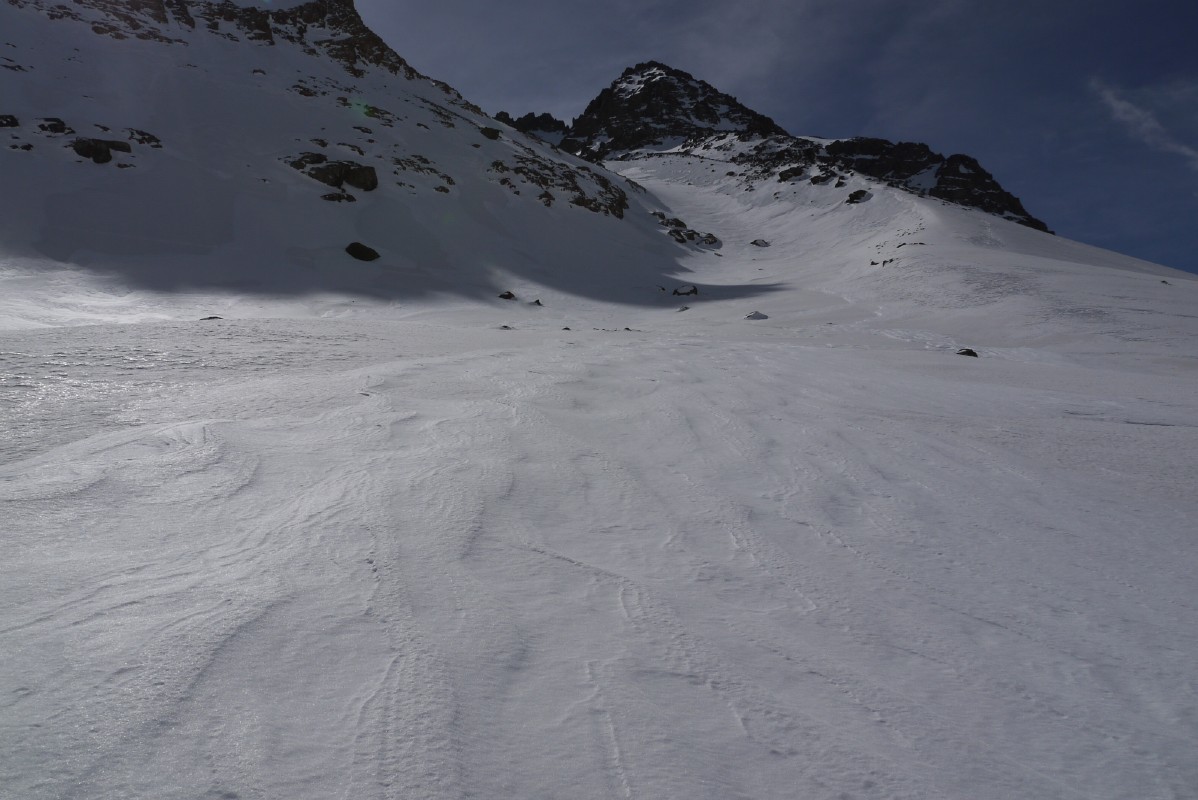 p1000384.jpg