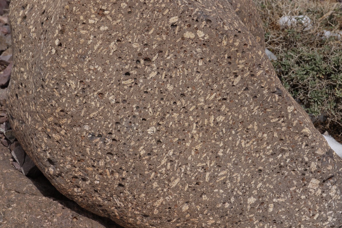 p1000392.jpg