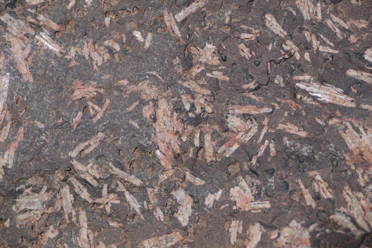 p1000395.jpg
