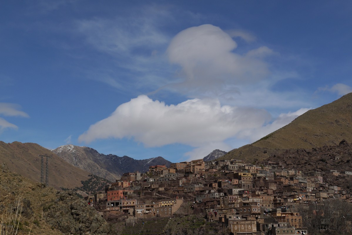p1000417.jpg