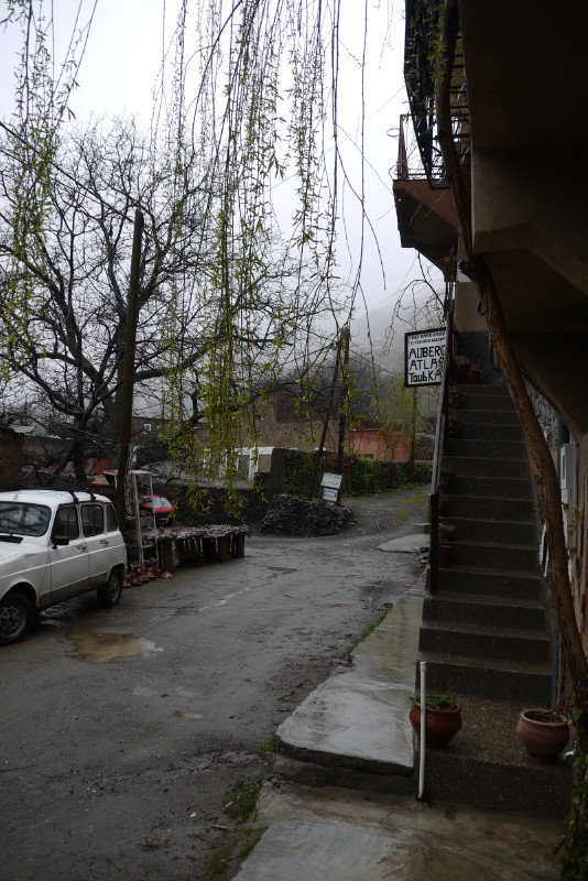 p1000423.jpg