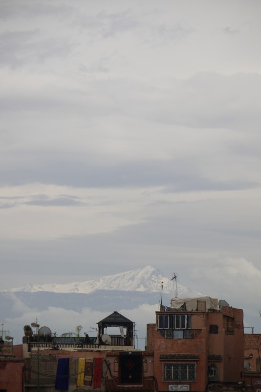 p1000303.jpg