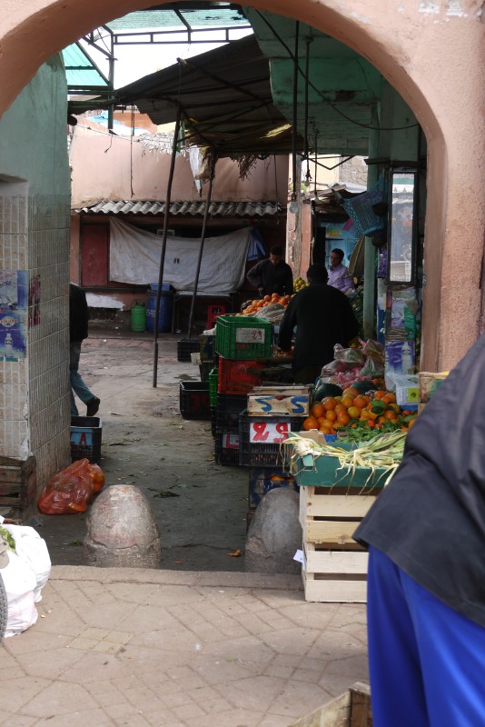 p1000447.jpg