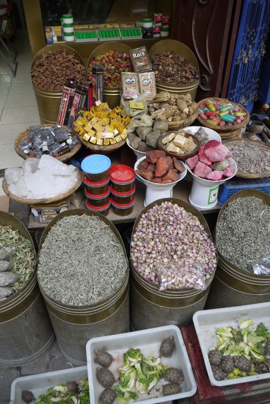 p1000449.jpg