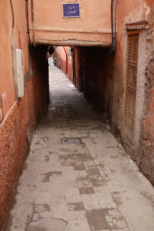 p1000451.jpg