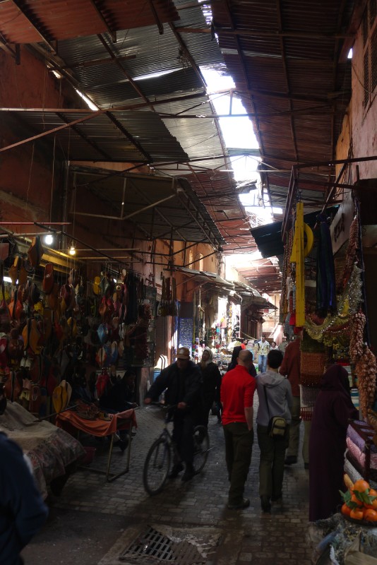 p1000470.jpg