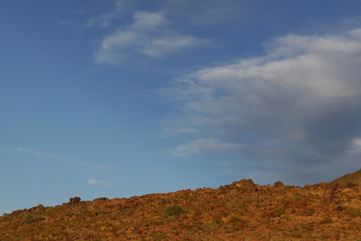 p1000533.jpg