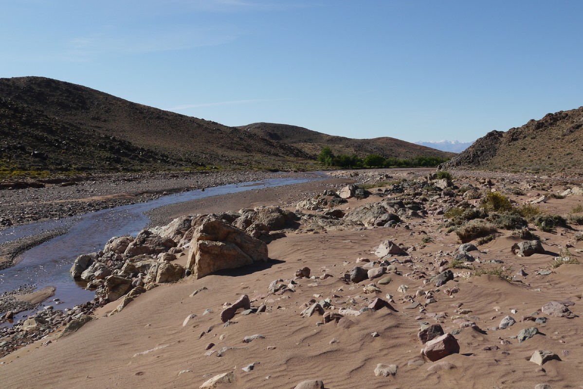 p1000581.jpg