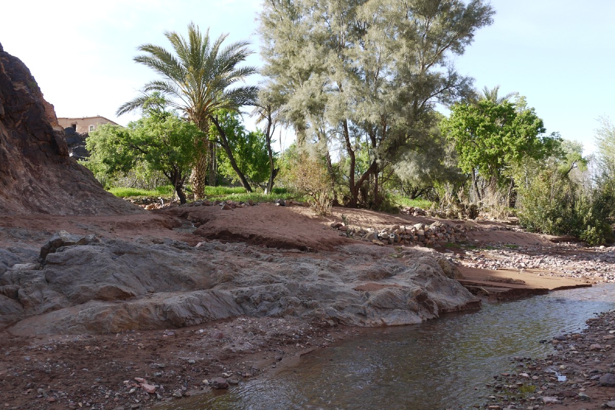 p1000586.jpg