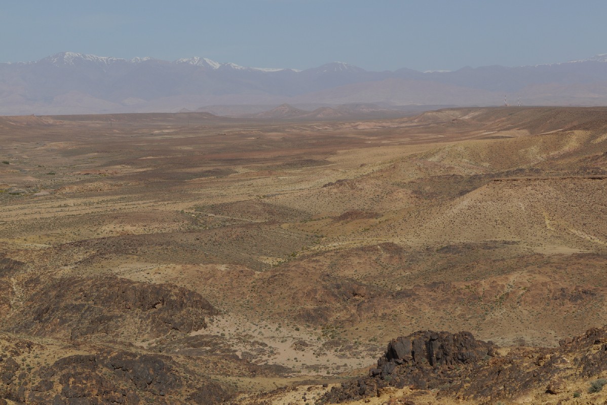 p1000665.jpg