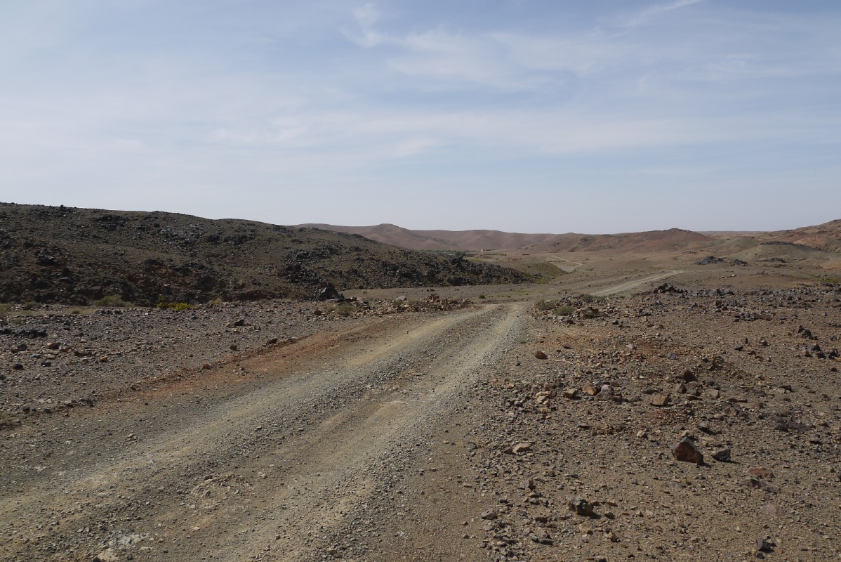 p1000675.jpg