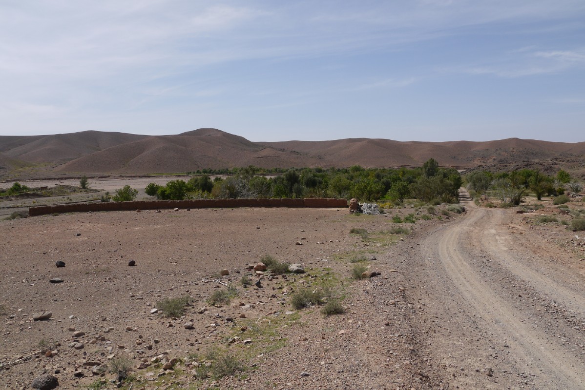 p1000676.jpg