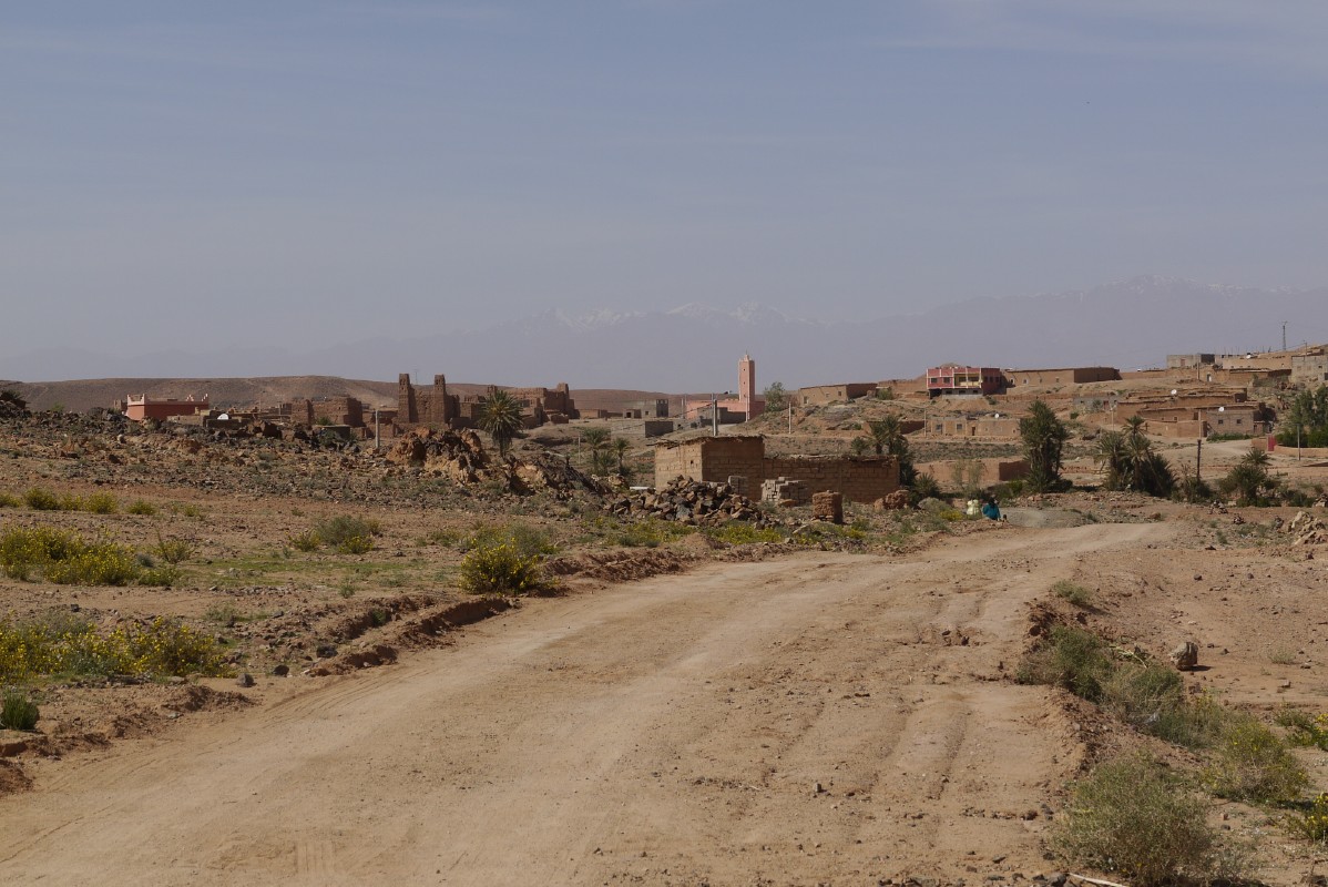 p1000678.jpg