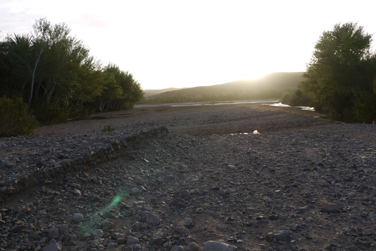 p1000707.jpg