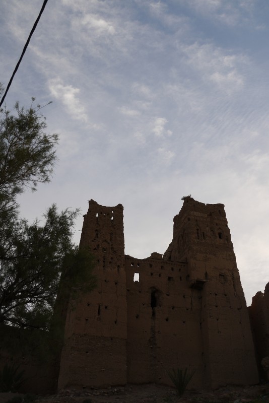 p1000710.jpg