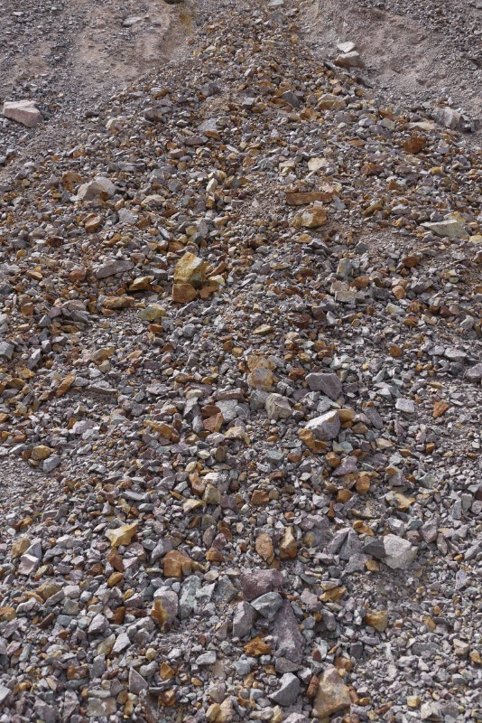 p1000748.jpg