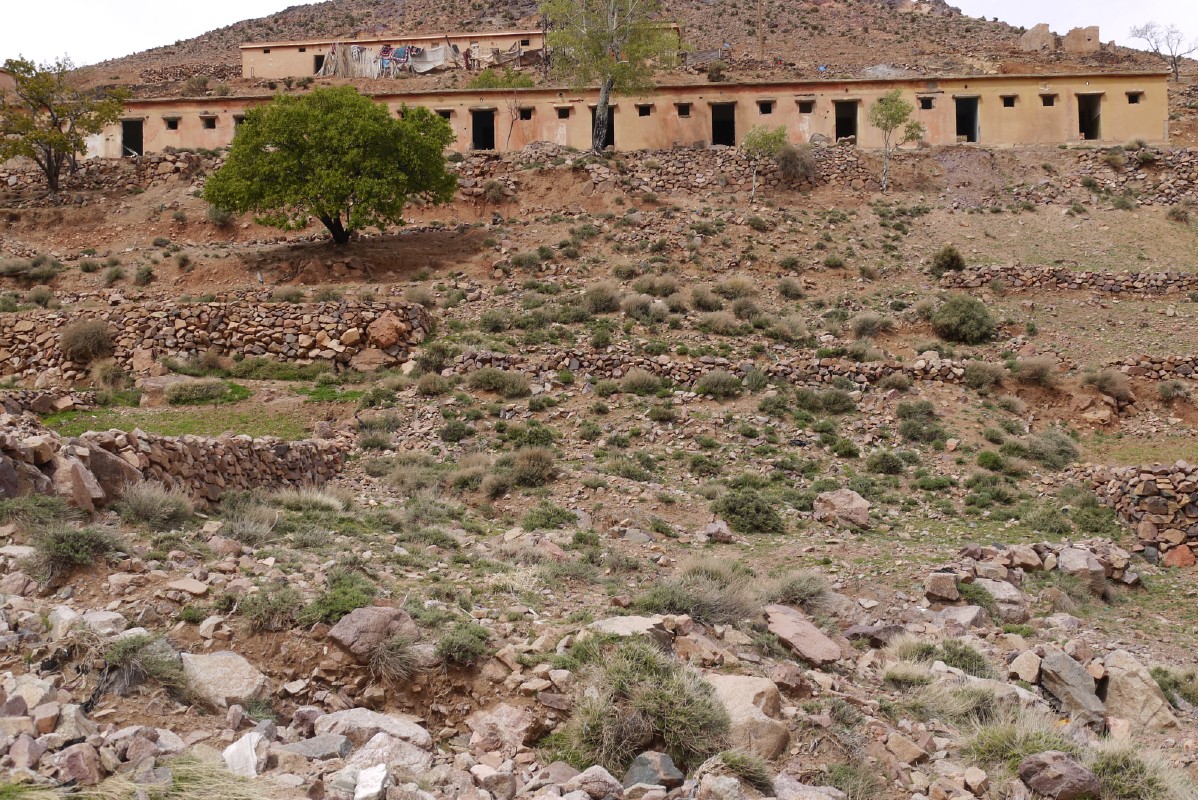 p1000751.jpg