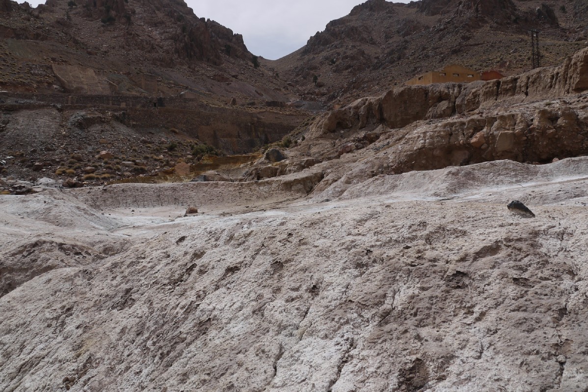 p1000753.jpg