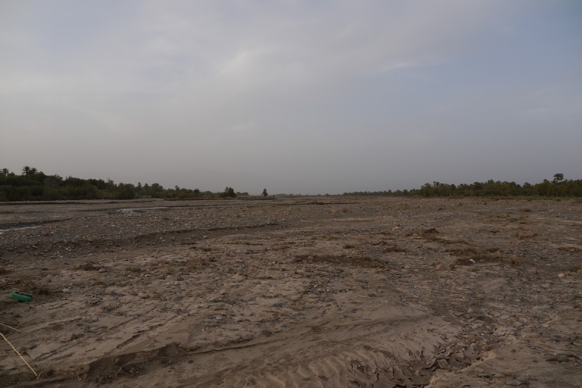 p1000817.jpg