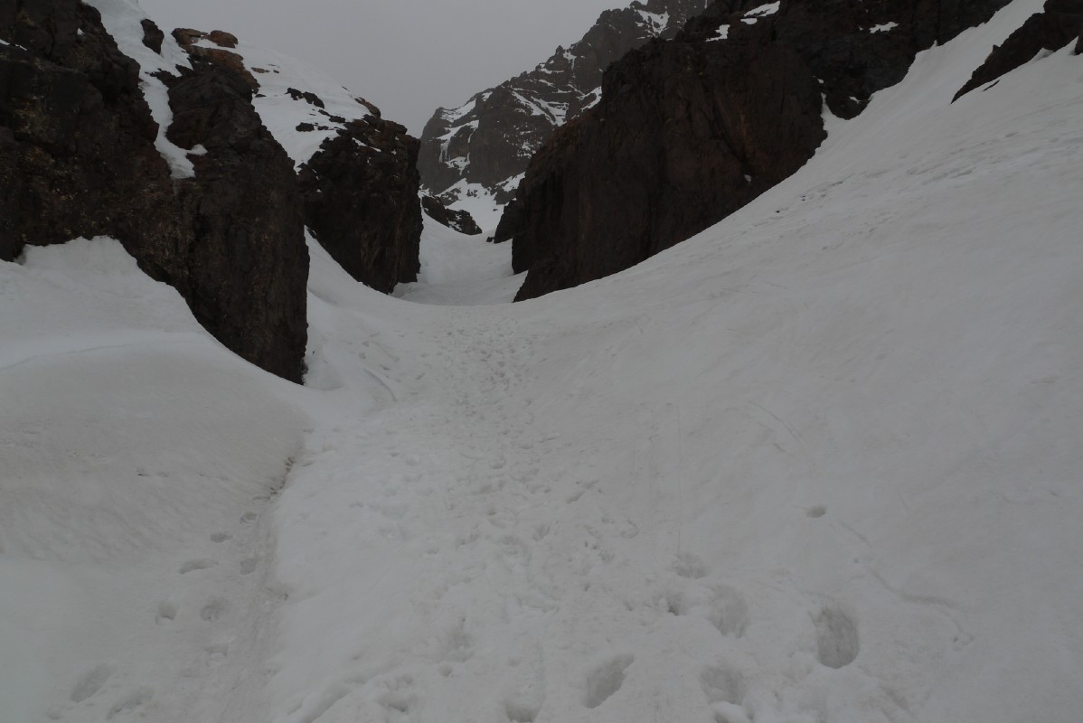 p1000848.jpg
