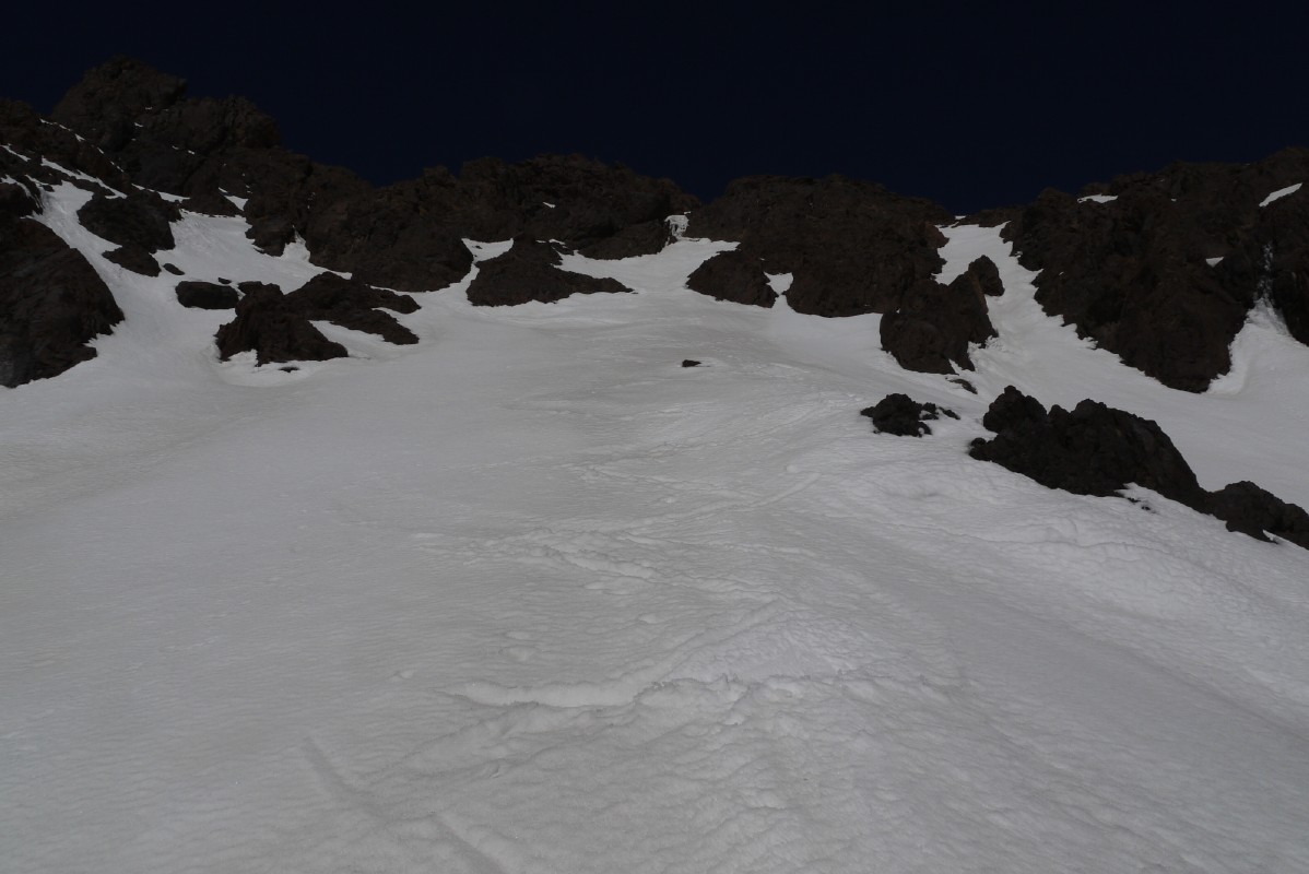 p1000969.jpg