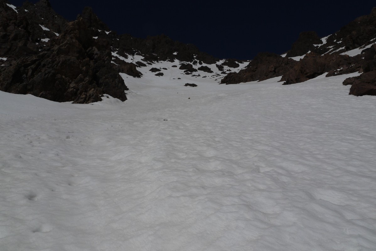 p1010007.jpg