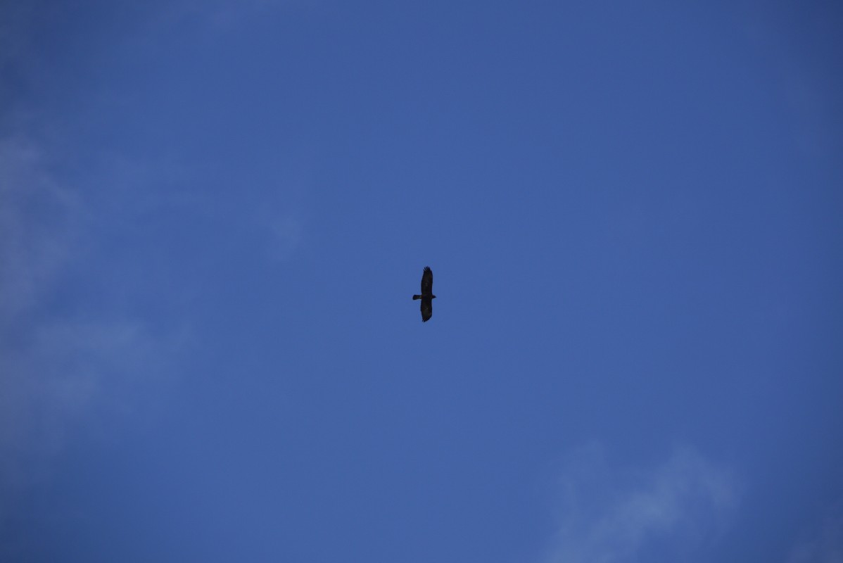 p1010488.jpg