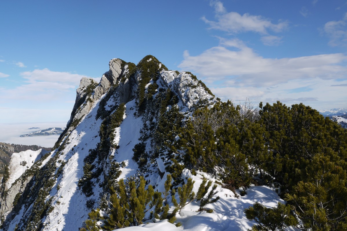 p1010492.jpg